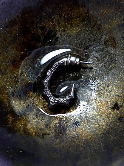 NAGA