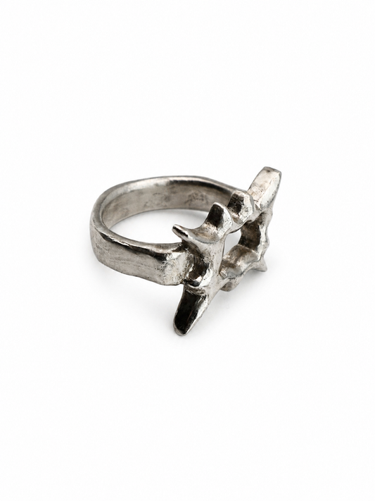 Spike Frame Ring